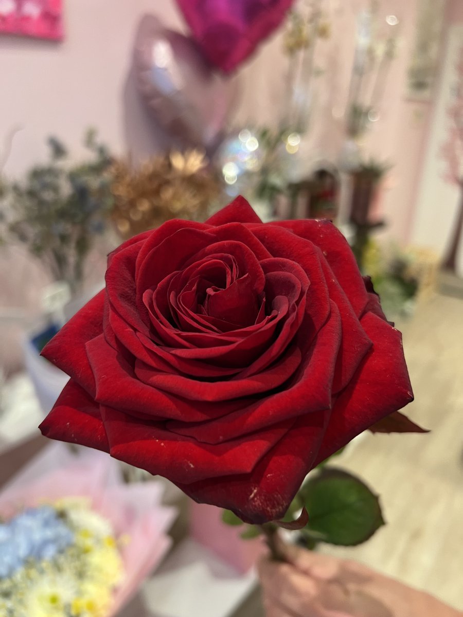 Midsummer Place tweet media