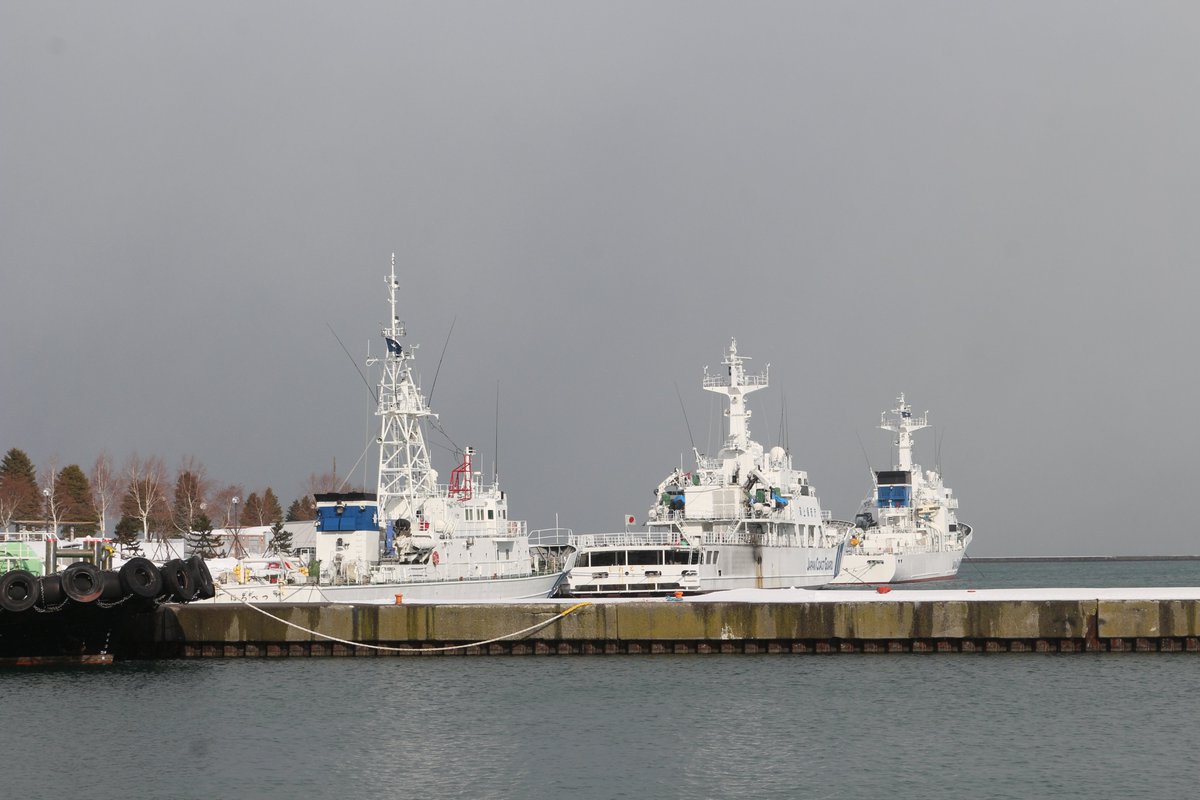 野生のうみまる (@jcg_seaman118) / Posts / X