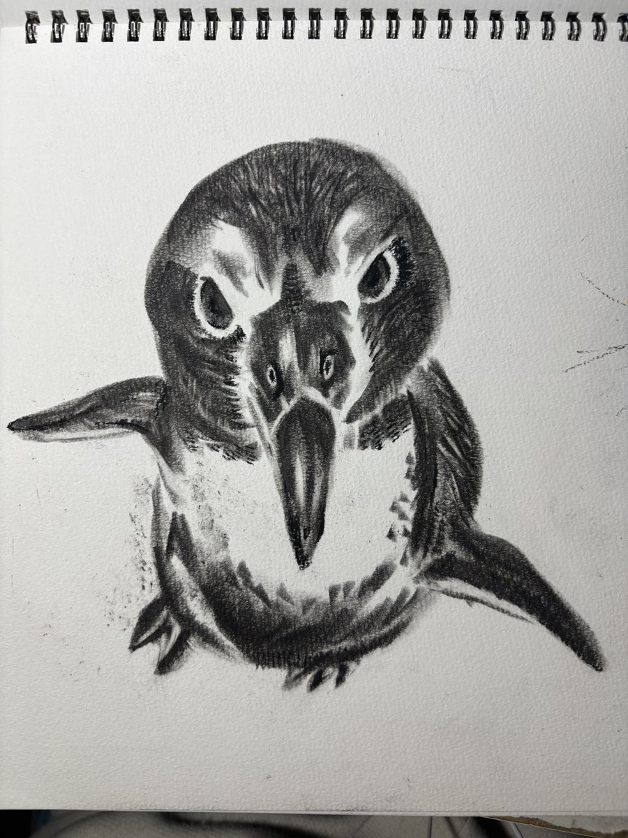 パステル画 #ペンギン さて どんなペンギンさんにしようかな〜🐧