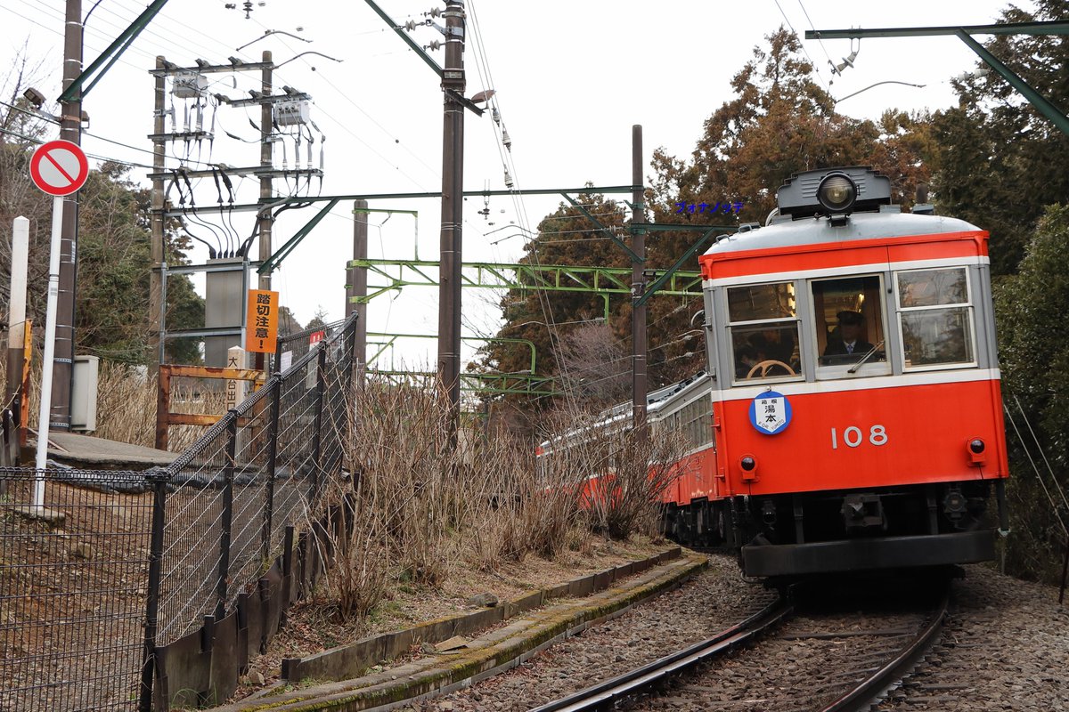 今日の登山電車🚃
雪はすべて解け先日の賑わいがウソのように静かな（いつもの）大平台でした☺️
2026.02.12