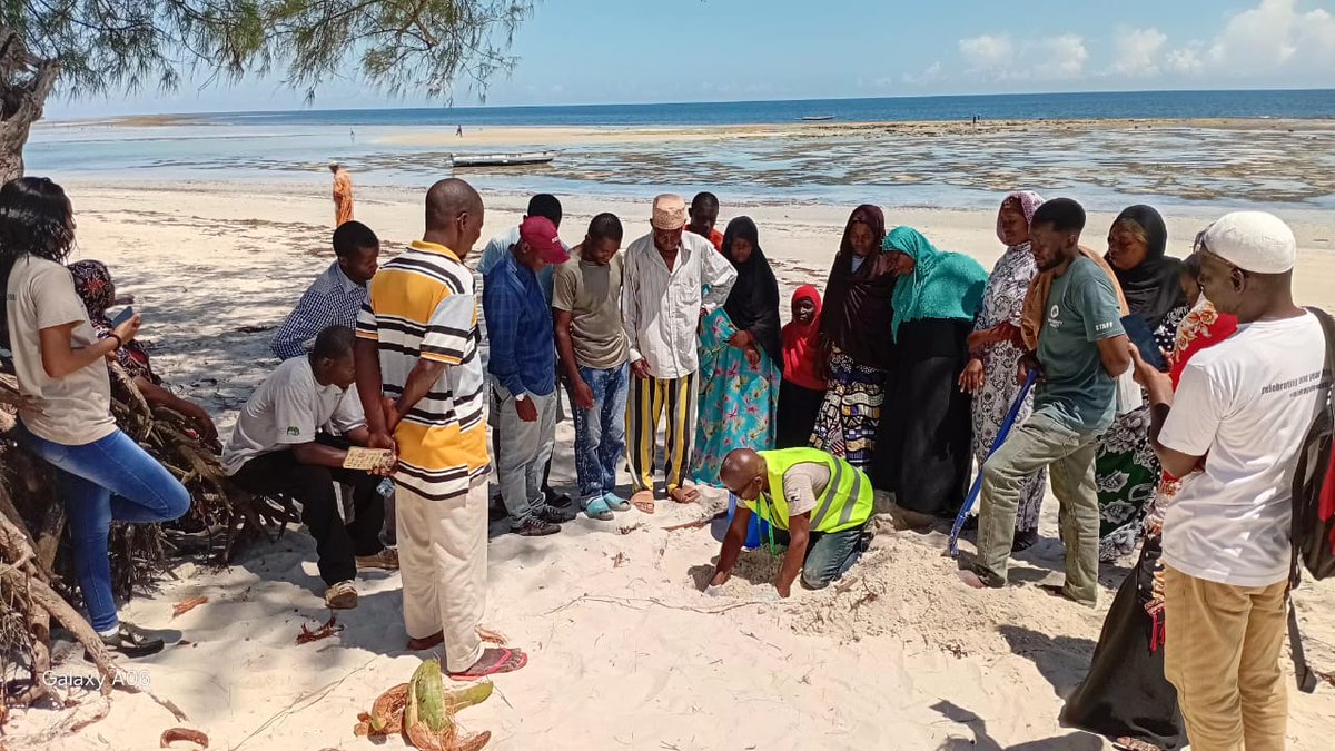 Africa Network for Animal Welfare tweet media