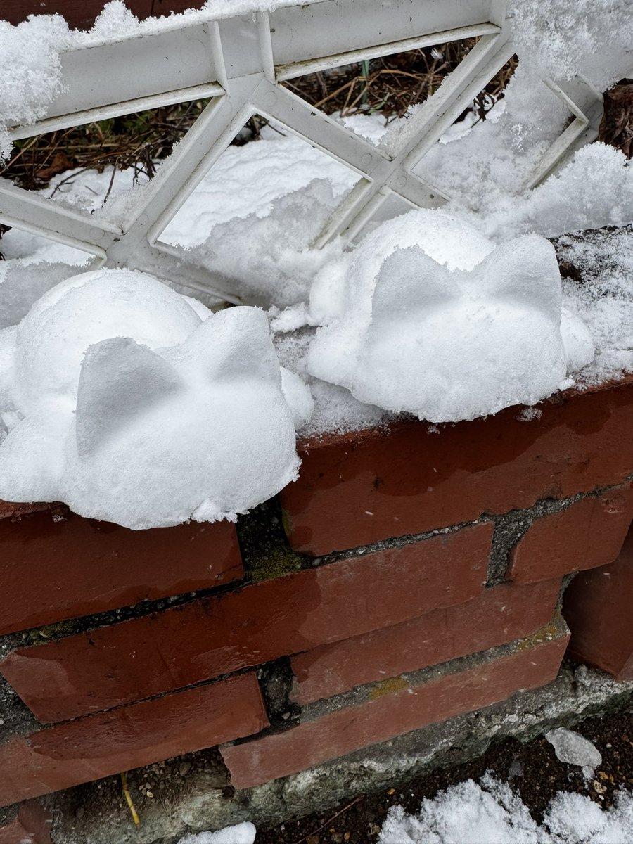 あんこう💜💛💚 (@ankouradio) / Posts / X