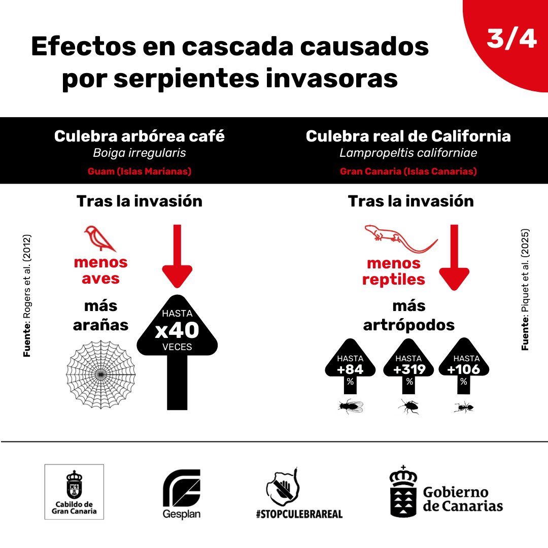 Stopculebrareal tweet media