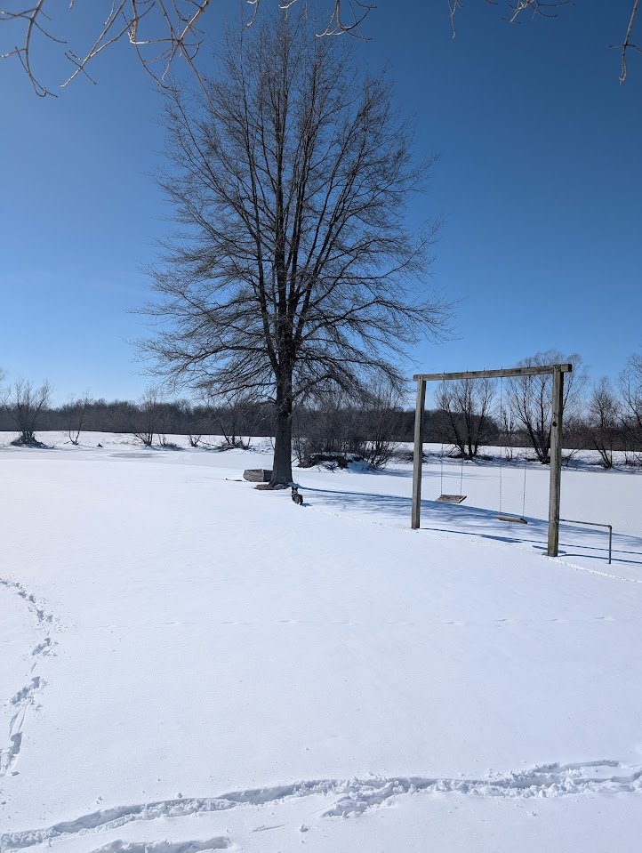 Devany Wilson tweet media