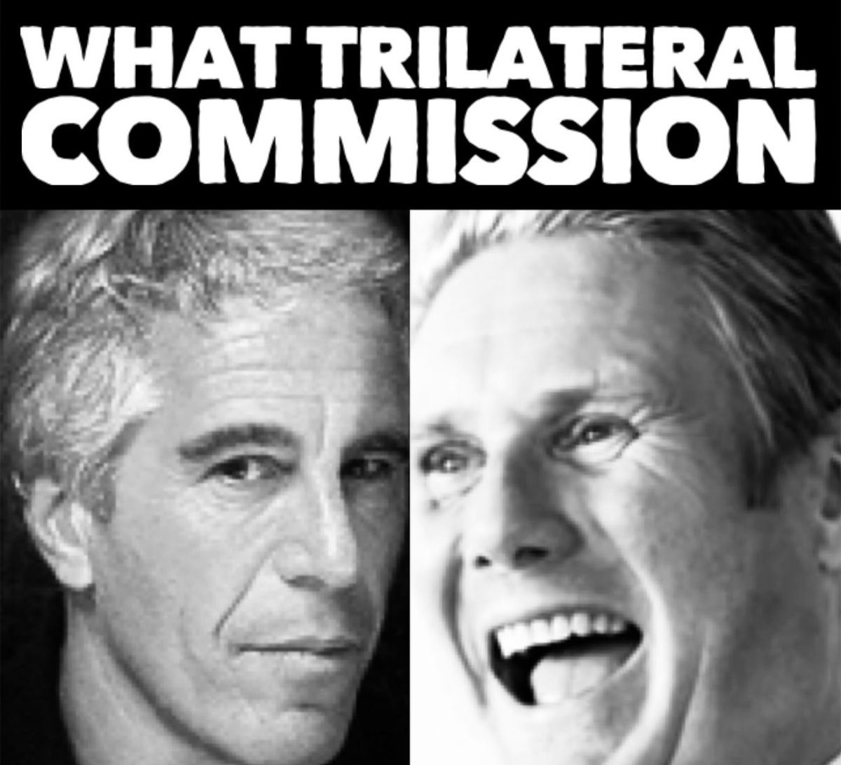 TruthSeeker73 tweet media
