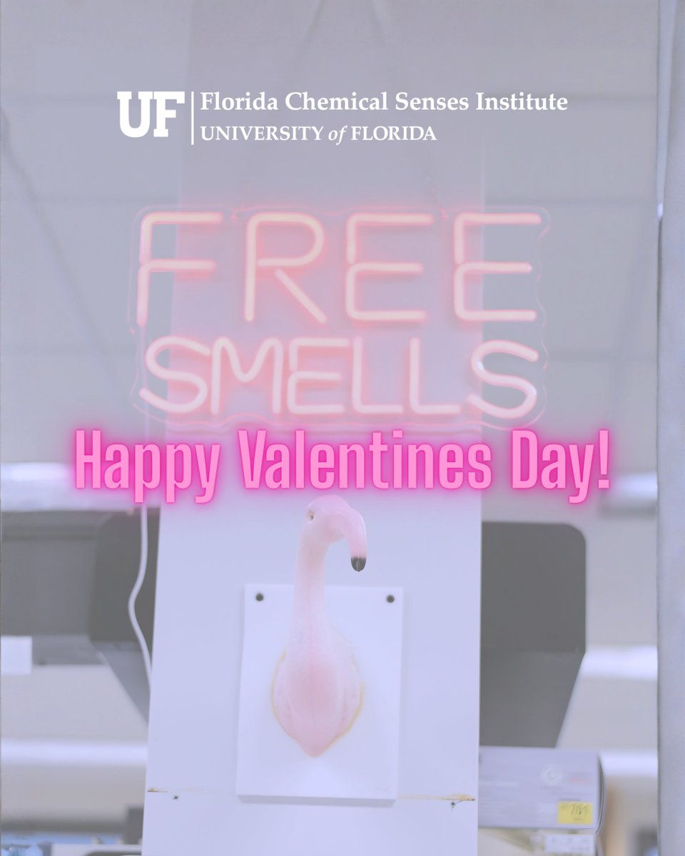 UF Florida Chemical Senses Institute tweet media