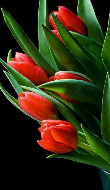 goyotocho64's tweet photo. .........           LUIS MIGUEL           ..........
                           Contigo 
No es la cantidad, es la Intensidad 
https://t.co/C7LKM6QEOp https://t.co/FsHVis8YMb