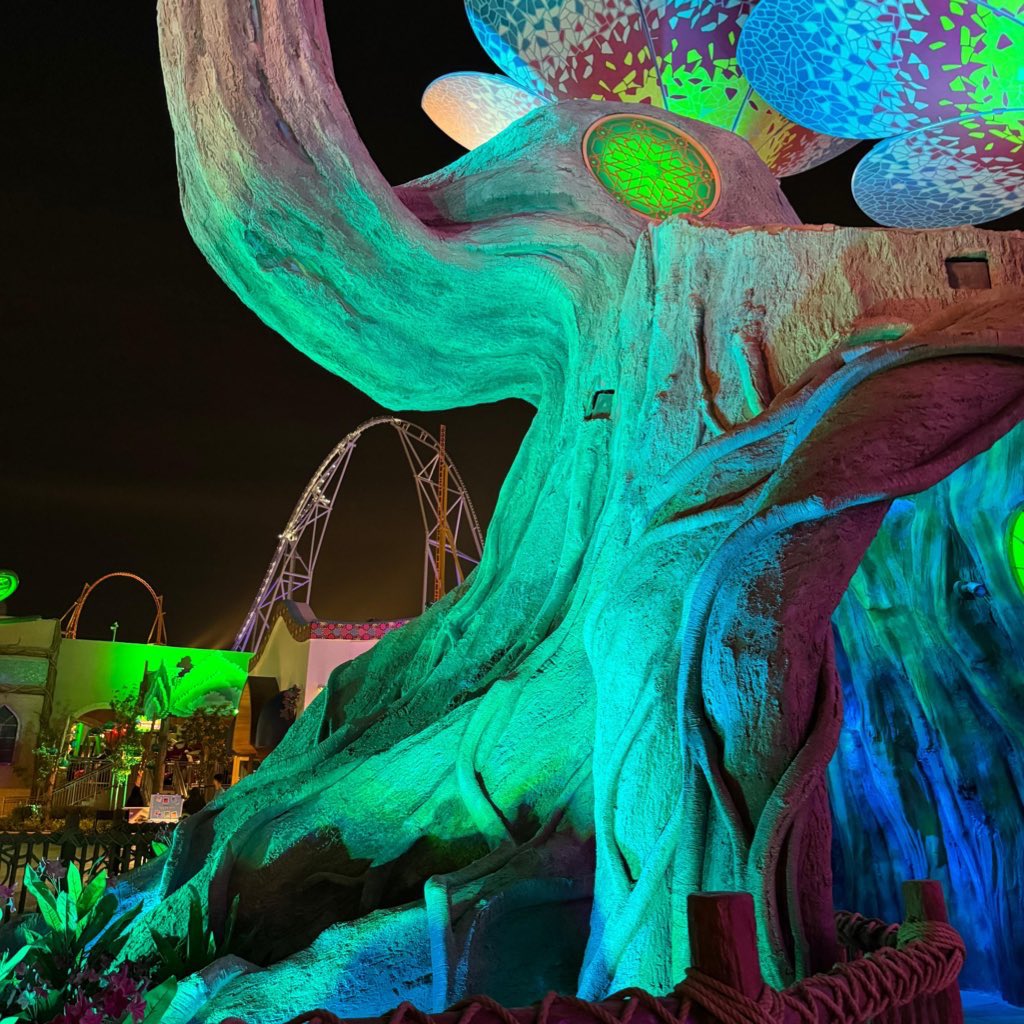 Definitely a day to remember🎢✨