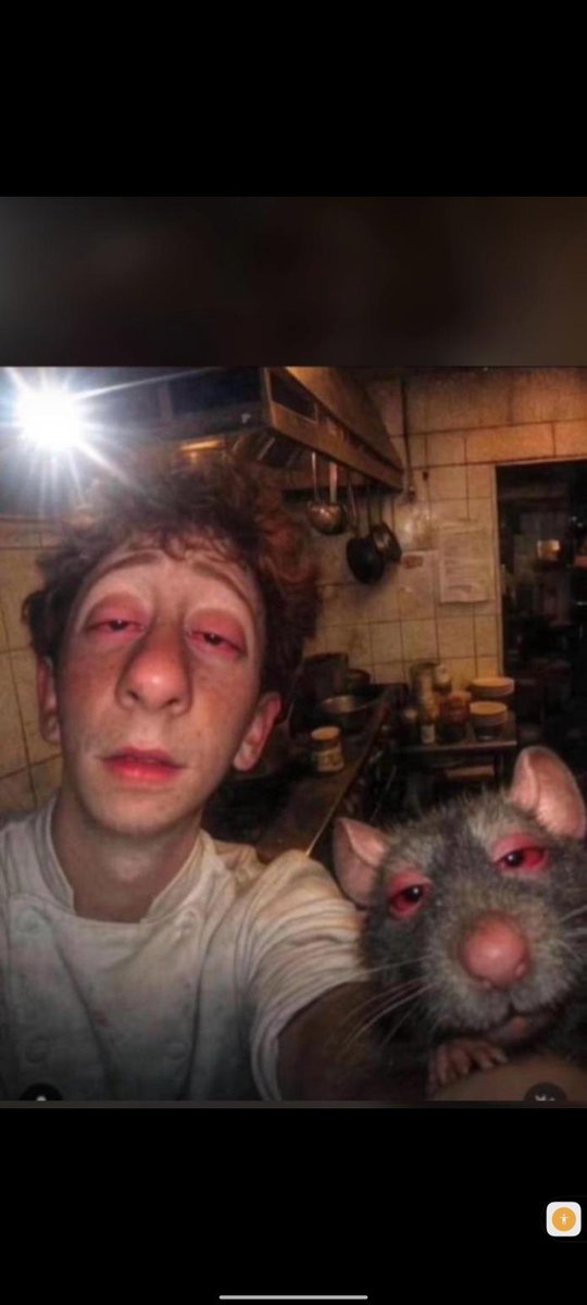 Digital ecosystems rarely fail from lack of innovation. They fail when their layers do not align. Ideas move in one direction, automation in another, and user experience struggles to keep up. The result is fragmentation disguised as progress.

Chat and Build strengthens the