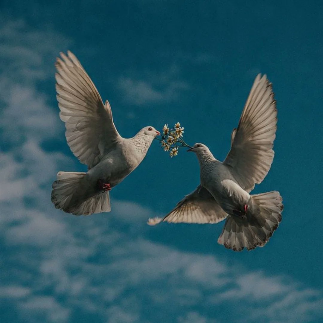 Fars masalları şöyle başlarmış ;
“Yekî bûd, yekî nebûd ,
Gayr ez Hûda hiç kes nebûd “
Biri vardı, biri yoktu; Allah tan başka hiç kimse yoktu …