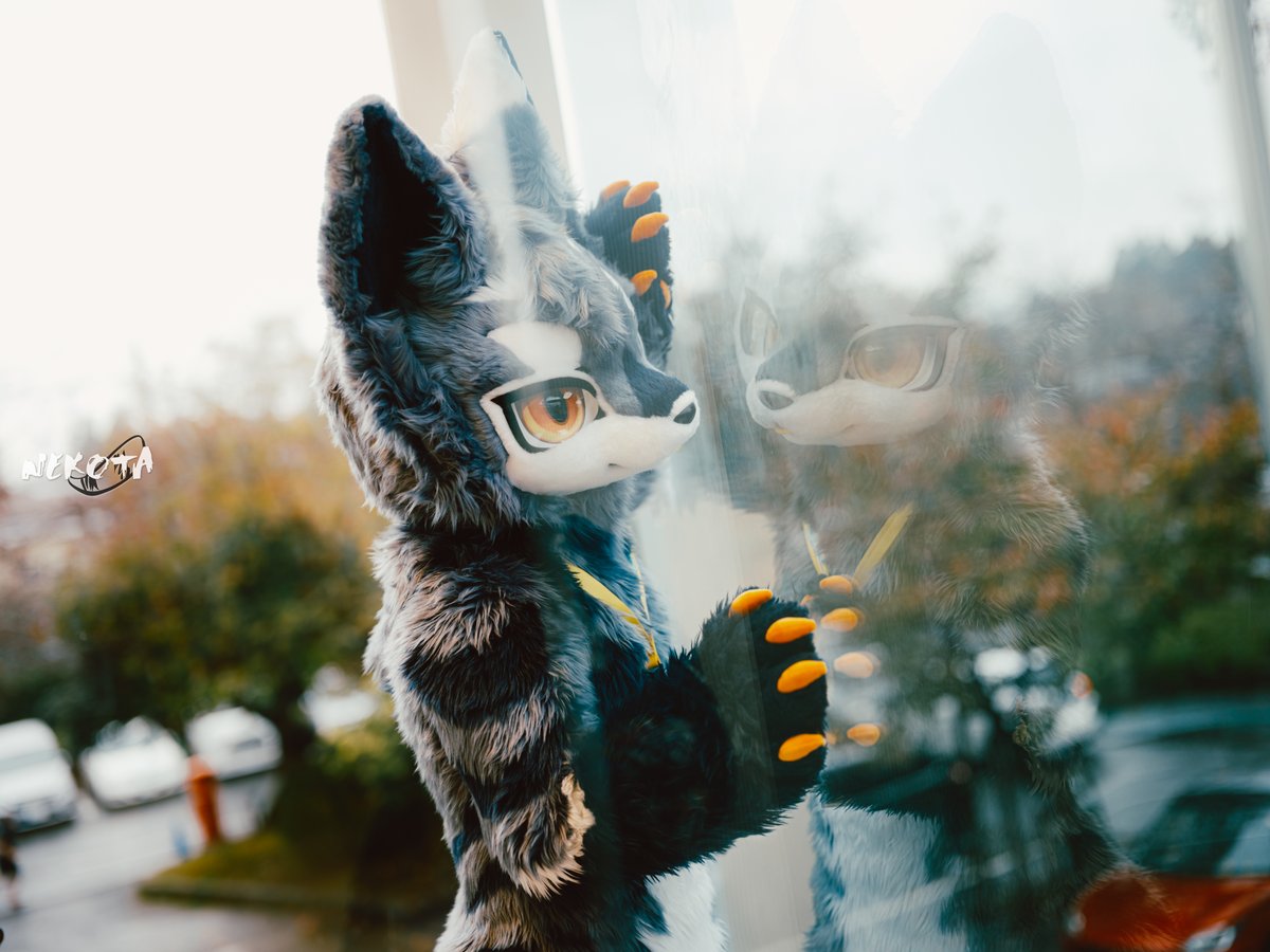 ネコタ@NEKOTA➡ちるこん (@hinekota) / Posts / X