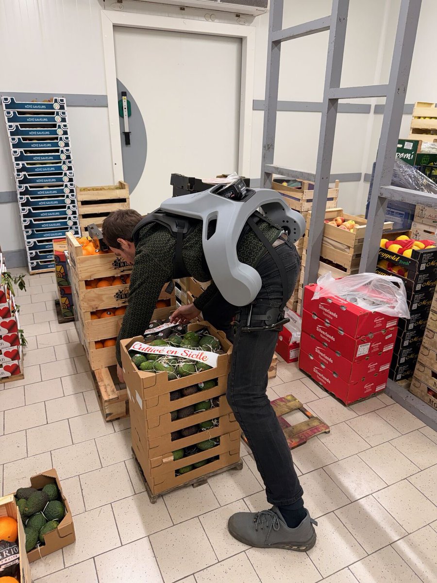 germanbionic tweet media