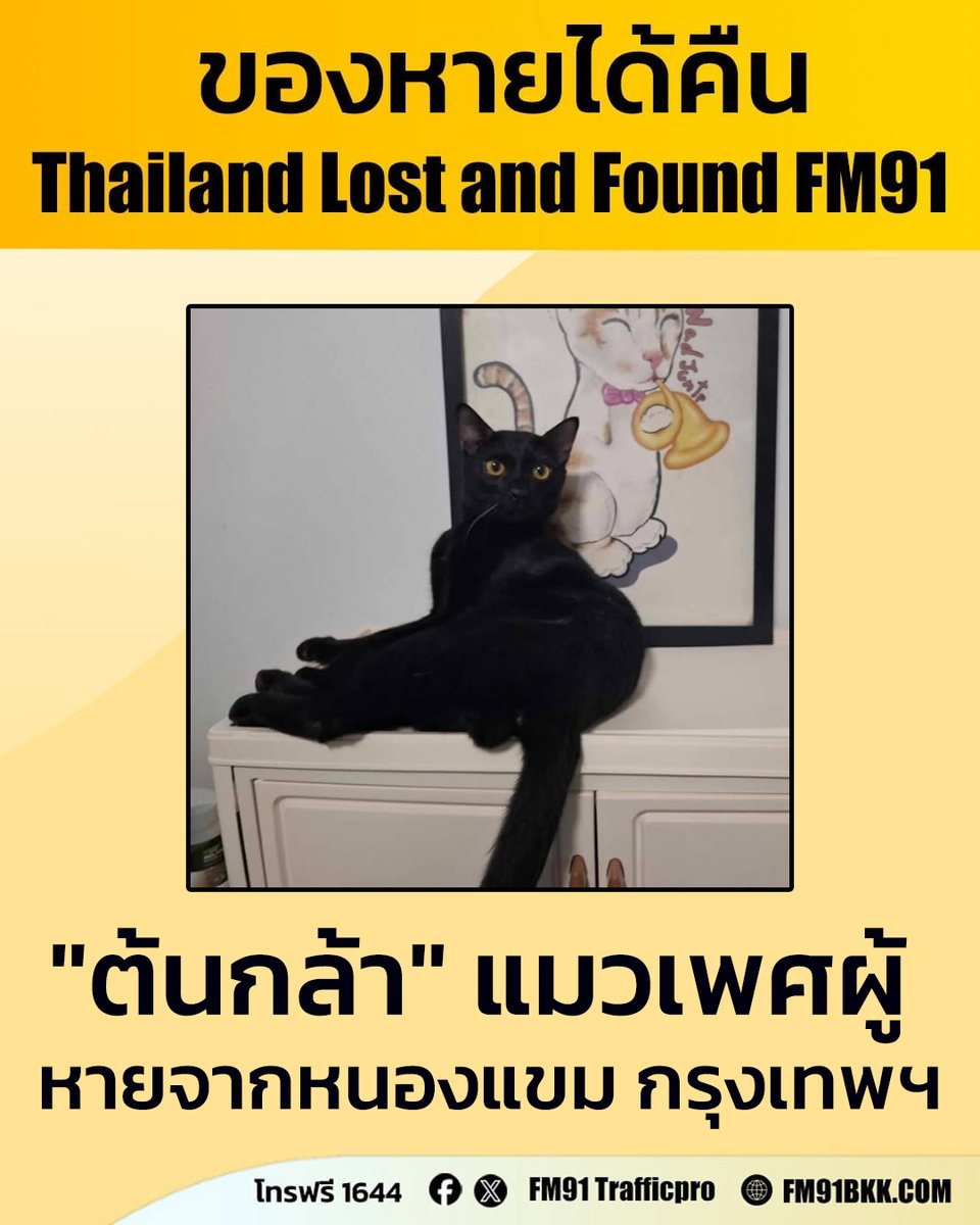 "ต้นกล้า" แมวเพศผู้ มีหนวดขาว 1 เส้น หางงอเล็กน้อย หายไปจากหมู่บ้านอรุณทอง 5 หนองแขม กรุงเทพฯ เวลา 19.00 น.  (11 ก.พ. 69)

หากใครพบเห็น สามารถติดต่อกลับที่หมายเลขโทรฟรี 1644 สวพ.FM91 ได้ตลอด 24 ชั่วโมง
#ของหายได้คืน #thailandlostandfound #โทร1644 #FM91