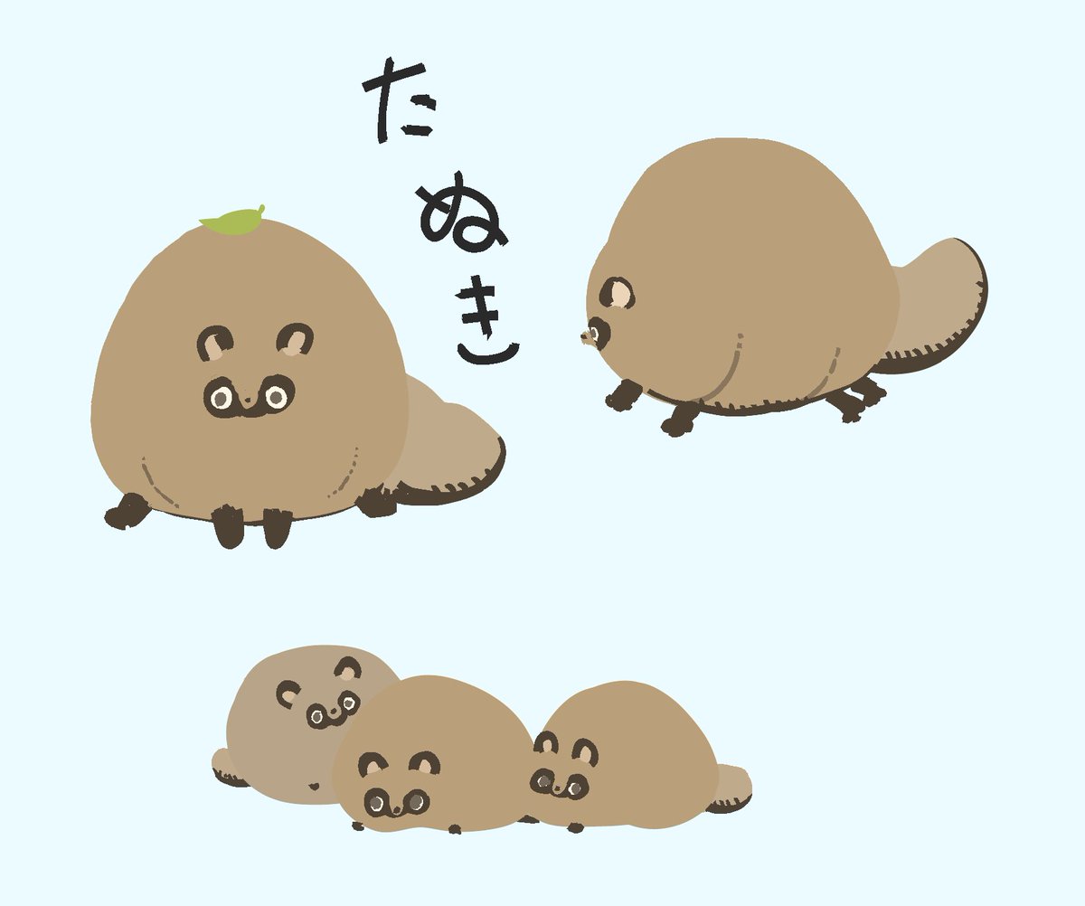 たんたんたぬき #たぬき