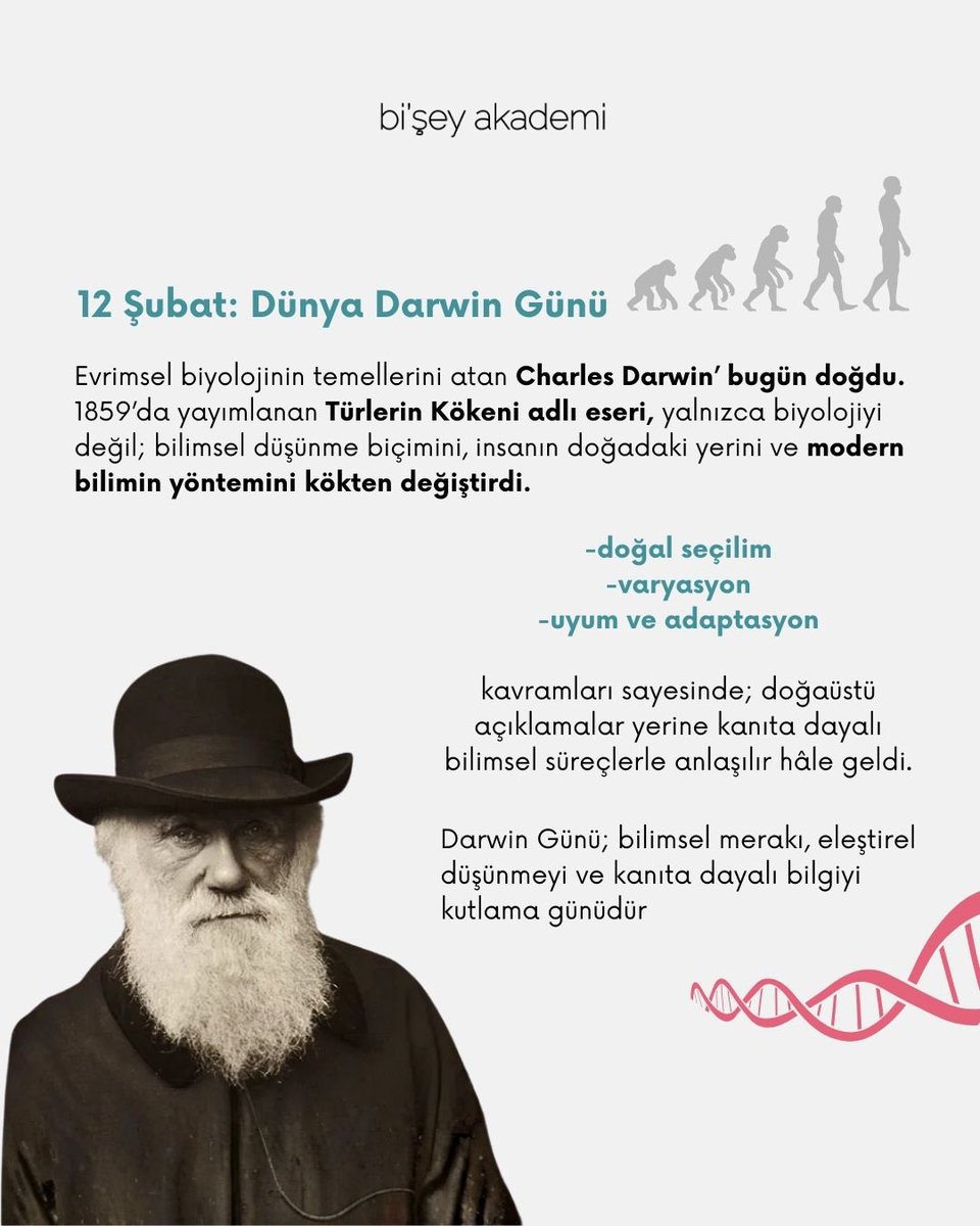 Bi'Şey Akademi tweet media