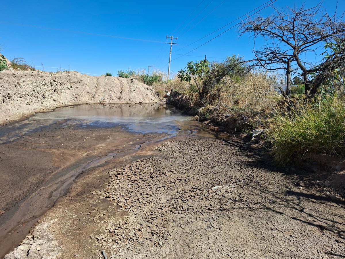 Eleonora AS tweet media