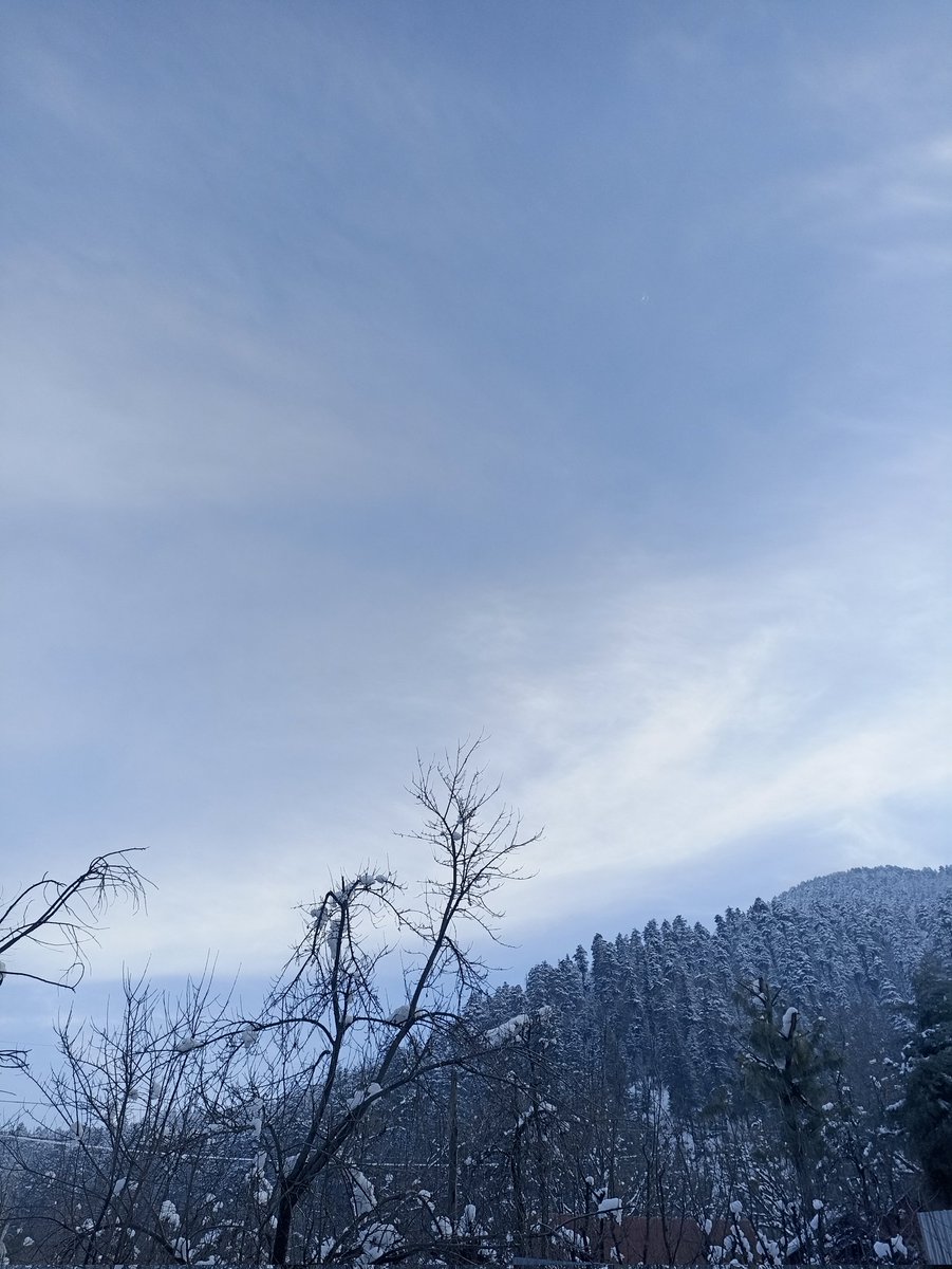 UEmm136274's tweet photo. Softening the world until everything feels calm and whole https://t.co/xKtJnXlOTz