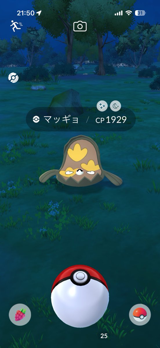 はんとう┌(.Y.┌)┐ tweet media