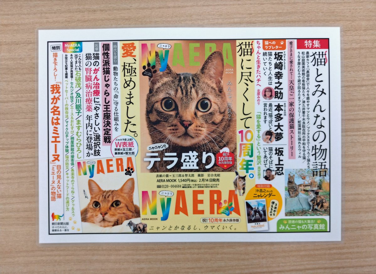 みニャさま🐾 明日から2日間、#ちよだ猫まつり が千代田区役所で開催
