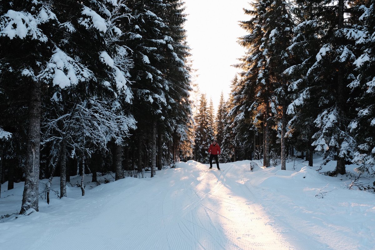 Gm from the north ❄️