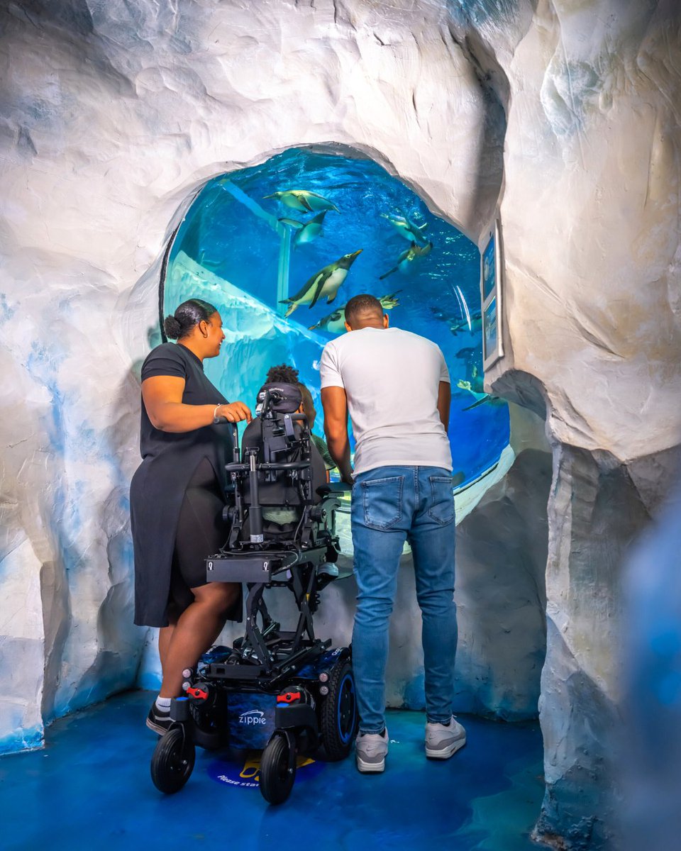 Sunrise Medical tweet media