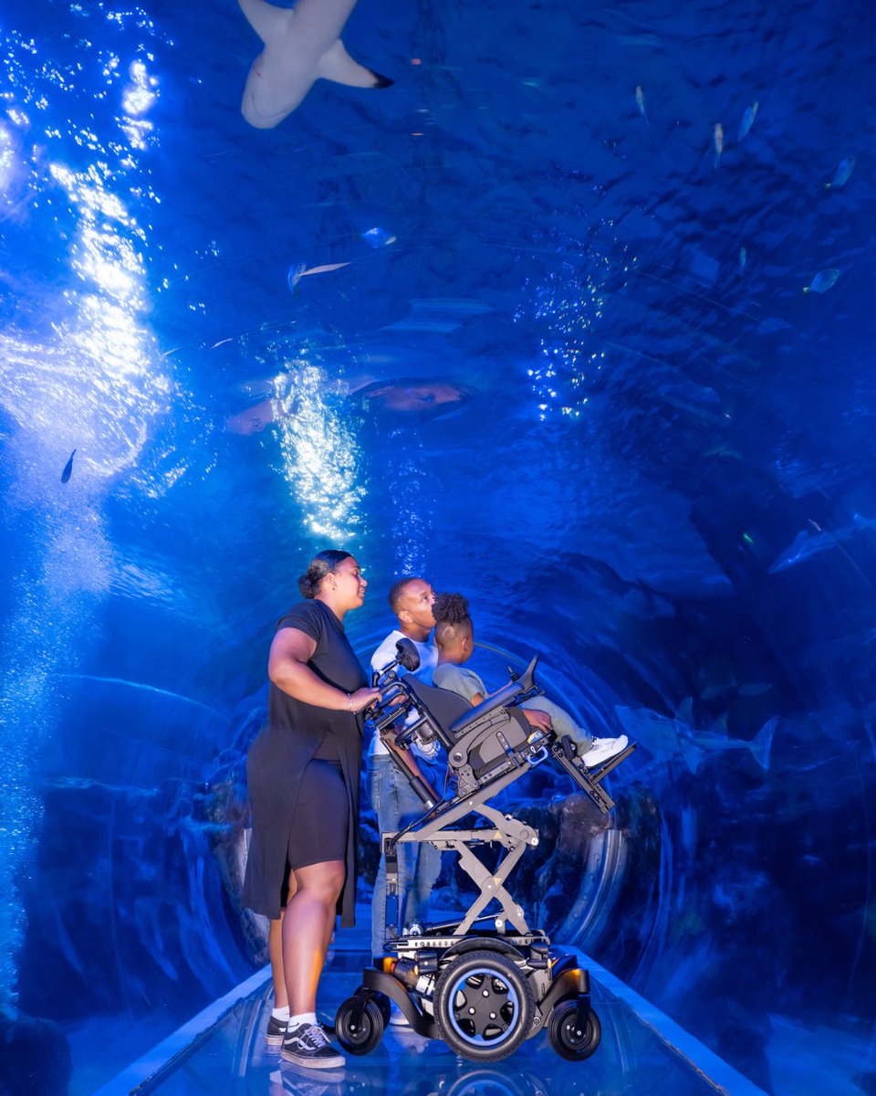 Sunrise Medical tweet media