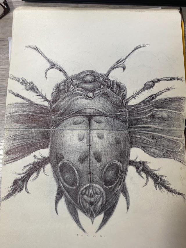 WorkshopDrawing's tweet photo. TECNICA, CON BOLIGRAFO
#CHAMOESTUDIO #SANPEDRO2ZONANORTEDEBOGOTA https://t.co/ISey8EAoYg
