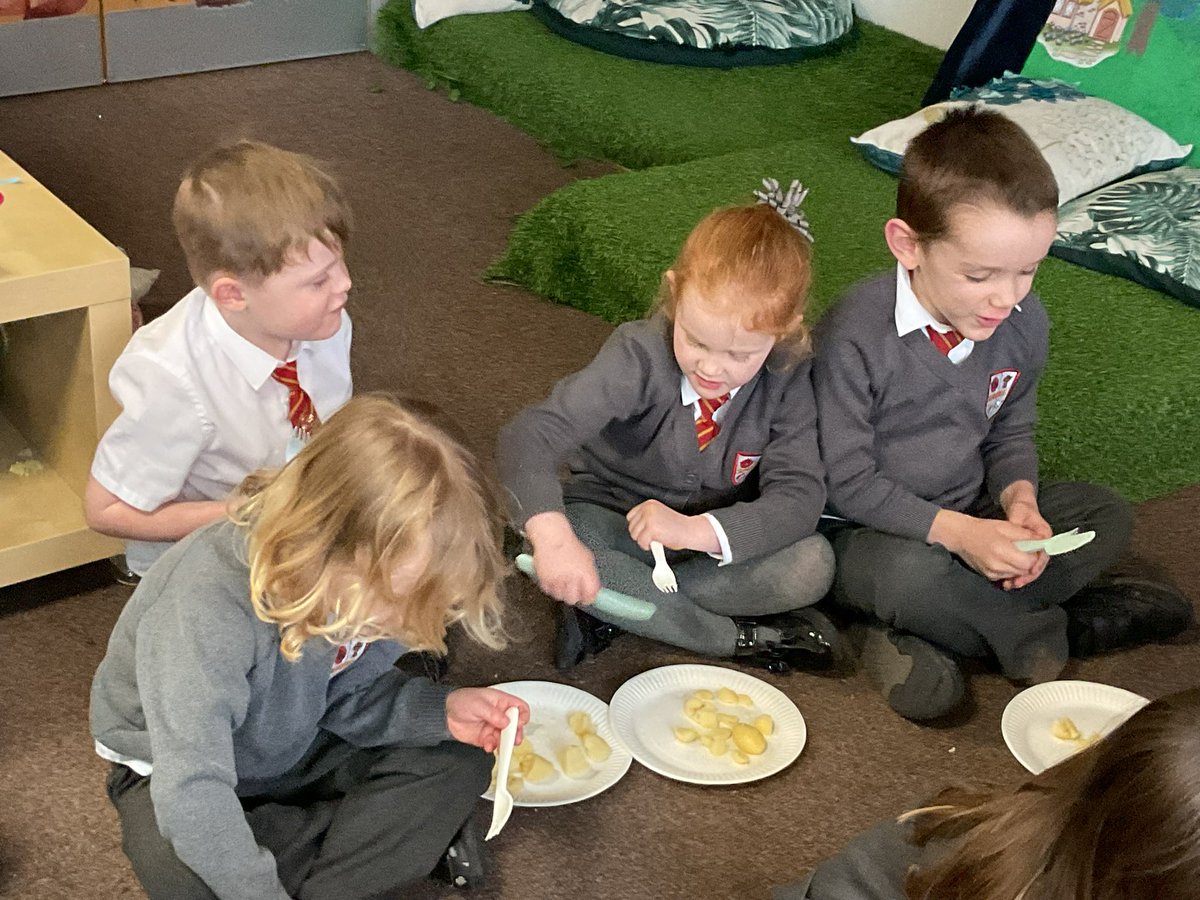 Lime Tree Class tweet media