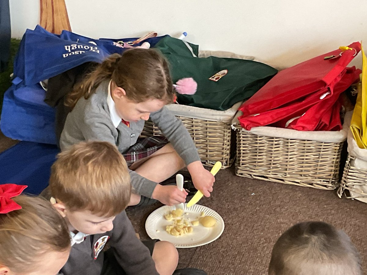 Lime Tree Class tweet media