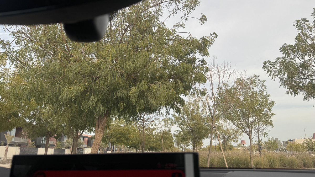 نُجود tweet media