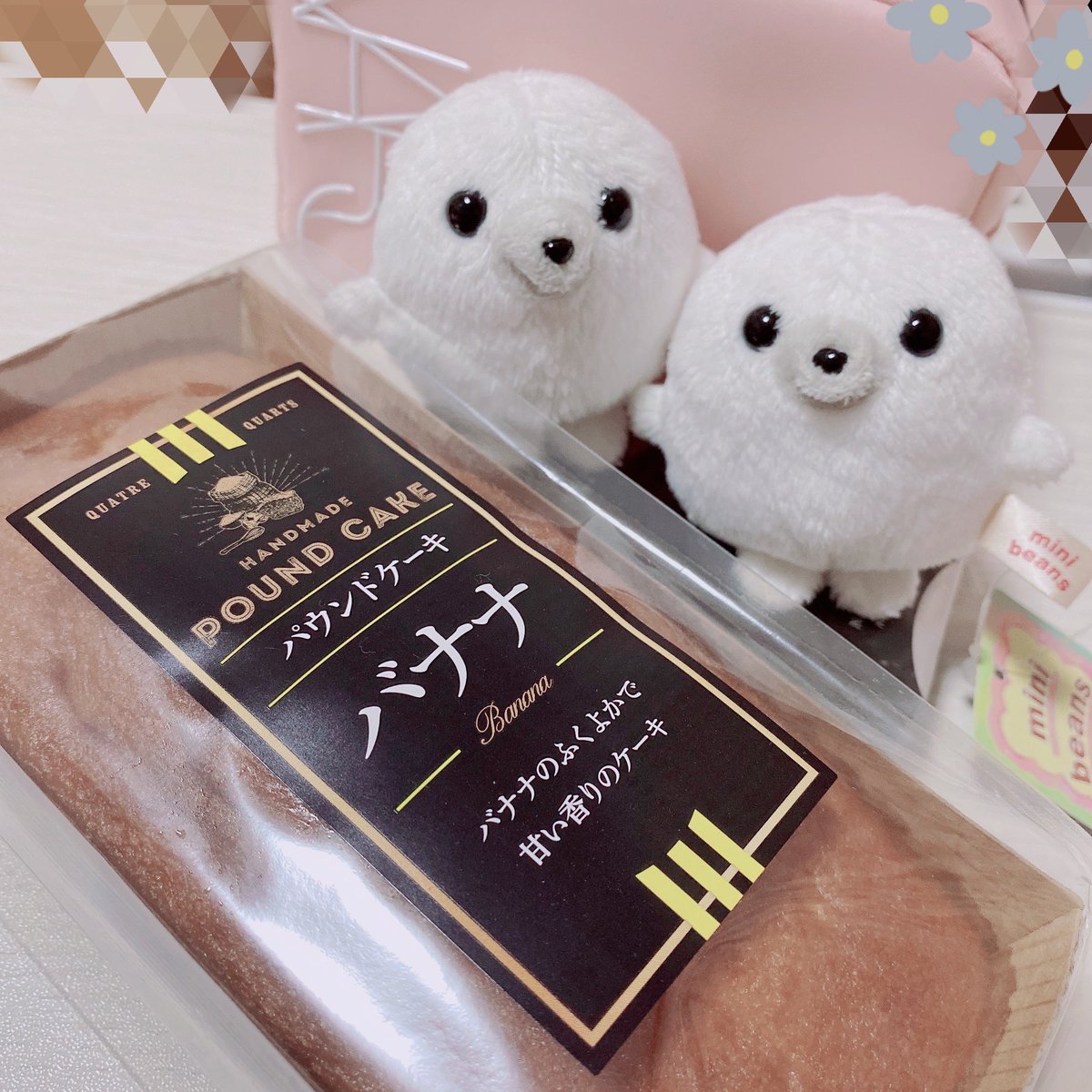 funwari_protect's tweet photo. にっこりあざらし https://t.co/cKRxjvjFGL