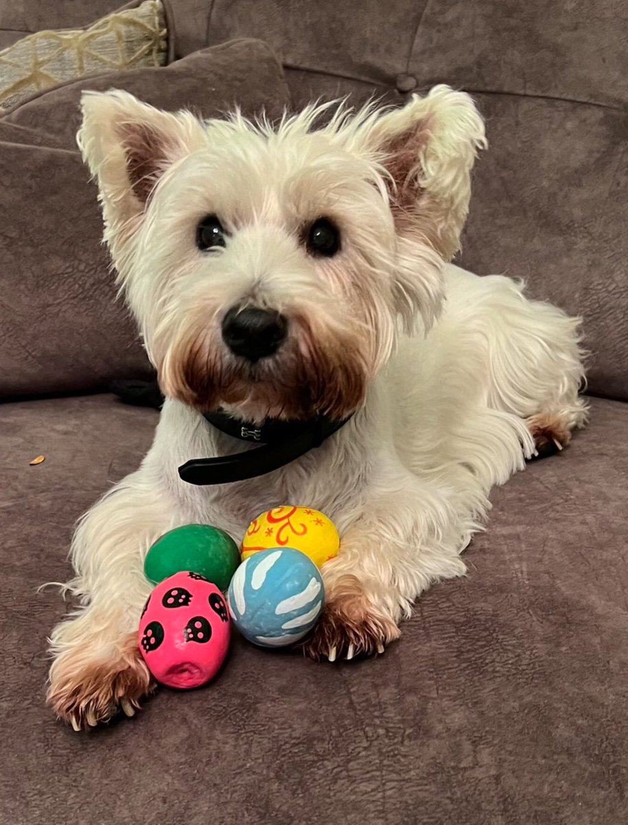 Danny Britton tweet media