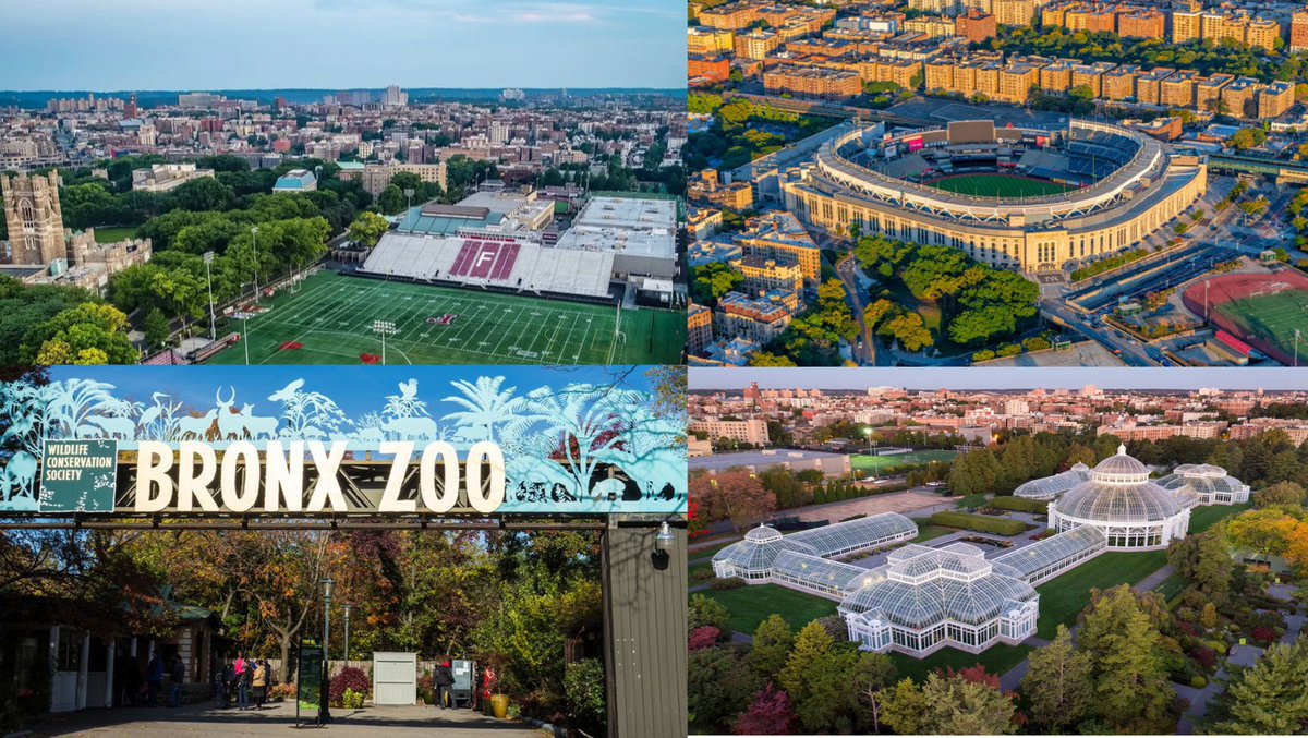 Steven Ciocci tweet media