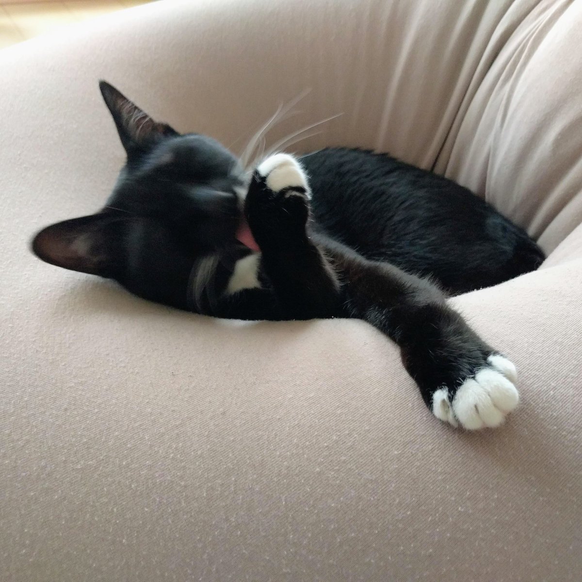 凪 nagi🐈‍⬛ tweet media