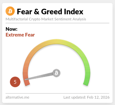 Pure Alpha Notice tweet media