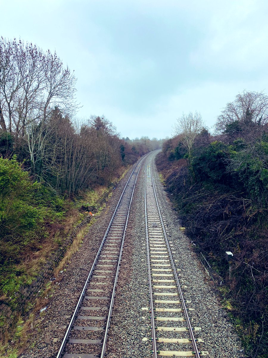 Shrewsbury Morris Dancers tweet media