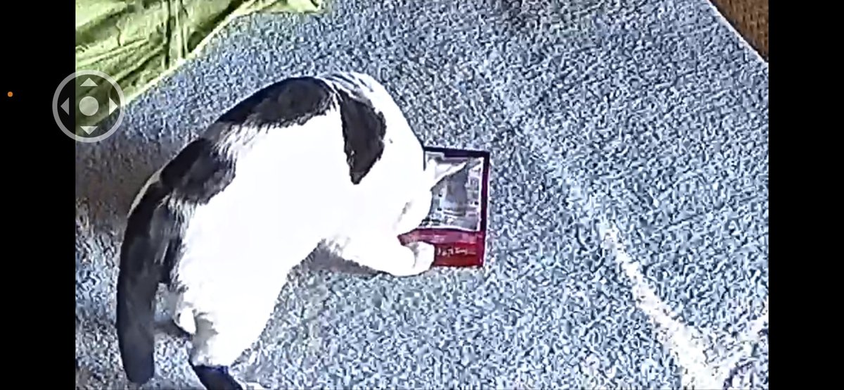 フリーズドライのマグロが大好物な福ちゃんが、仕事中に袋破って食べていた証拠画像です😹
いつも置いたままにしててもこんな事しなかったのに、よっぽどお腹が空いてたんだなと許しました。笑
おやつ泥棒する位元気になった証ですね😸

＃猫のいる暮らし