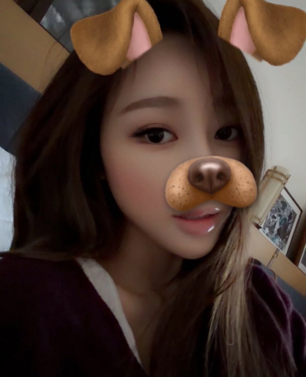 와키윌리 지젤 포카 왓담🥰🥰🥰 너무 ㄱㅇㅇ