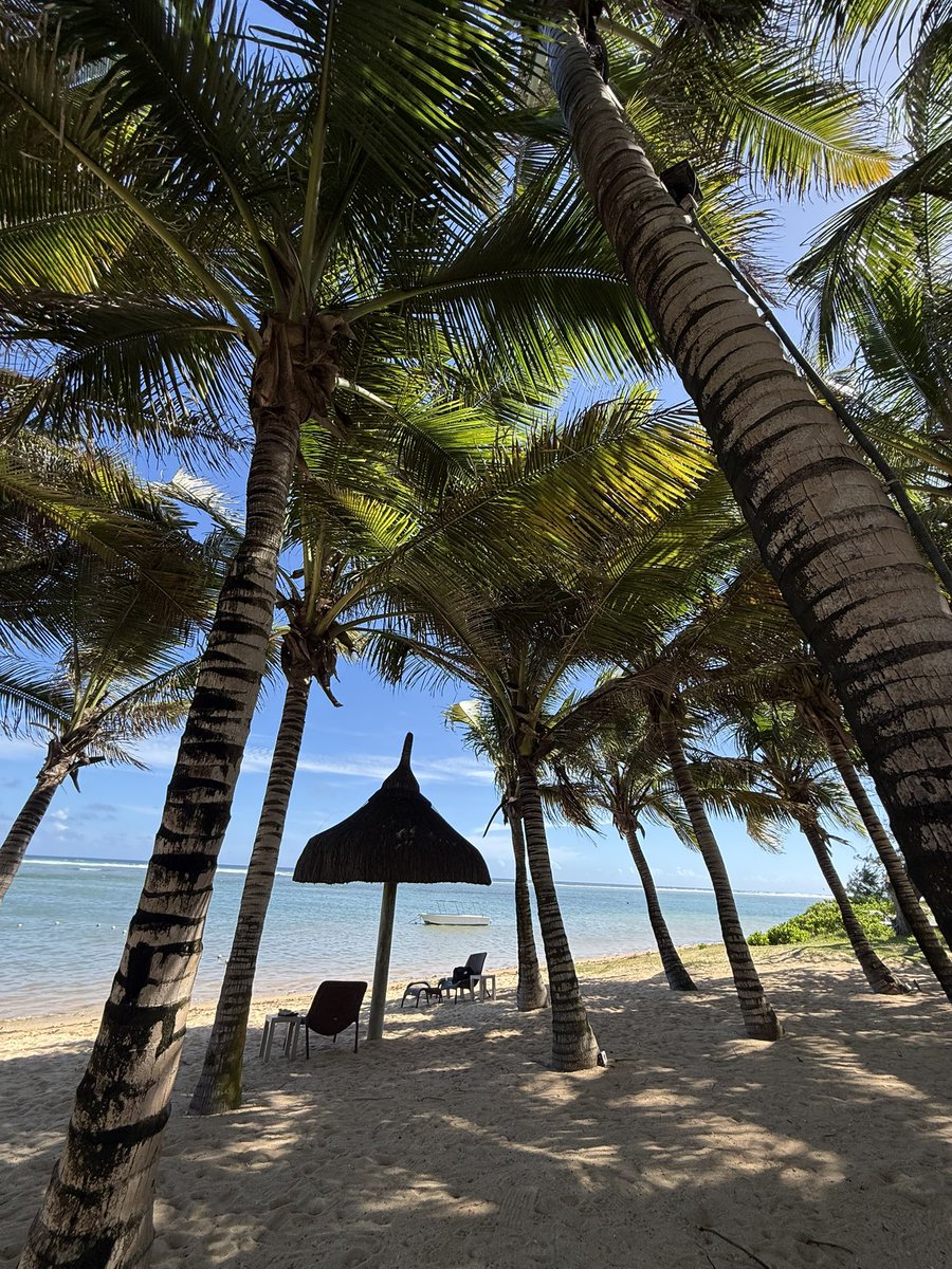 Mind_the_gap tweet media