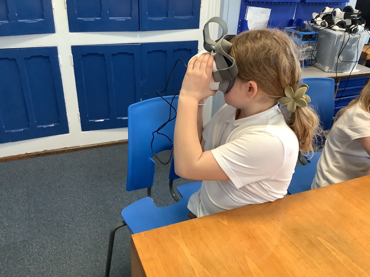 Millhouse Primary tweet media
