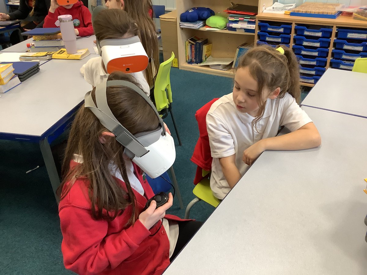 Millhouse Primary tweet media