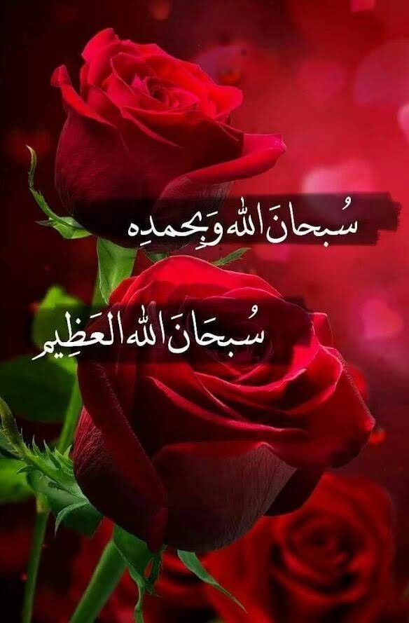 Halima Hm (@halima44436) on Twitter photo 