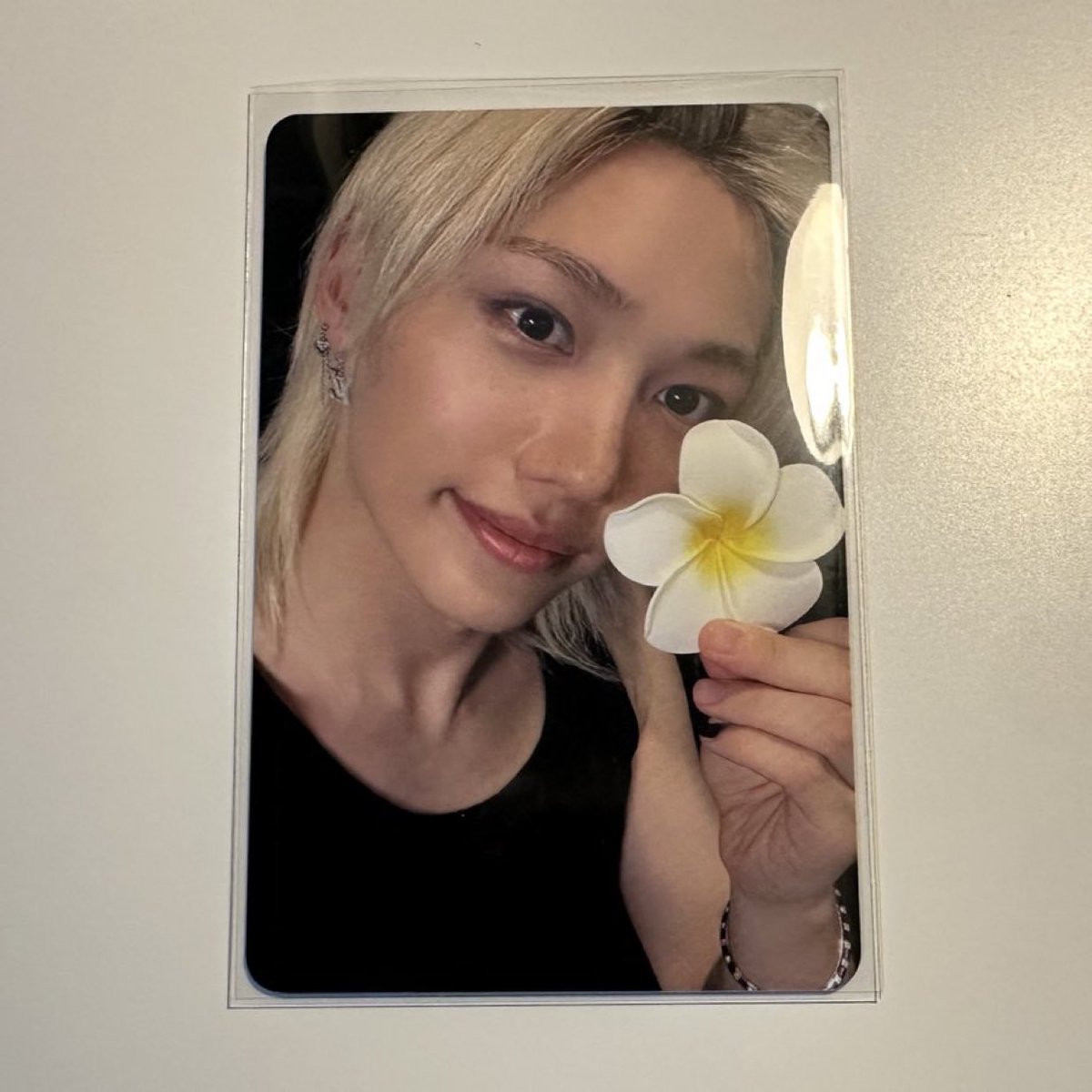 Bluehavenskz's tweet photo. wts พร้อมส่ง
การ์ด Felix ดอกไม้ Everline 
📮 300 THB free shipping
#ตลาดนัดstraykids #ตลาดนัดเด็กหลง https://t.co/f91zFeWU1k