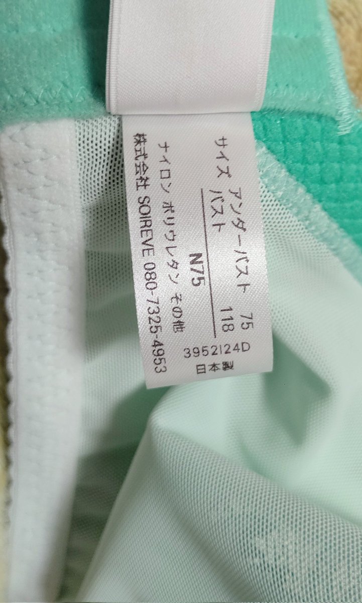 kana_urapicture's tweet photo. ブラジャーの日らしいので https://t.co/N39iKiGCV9