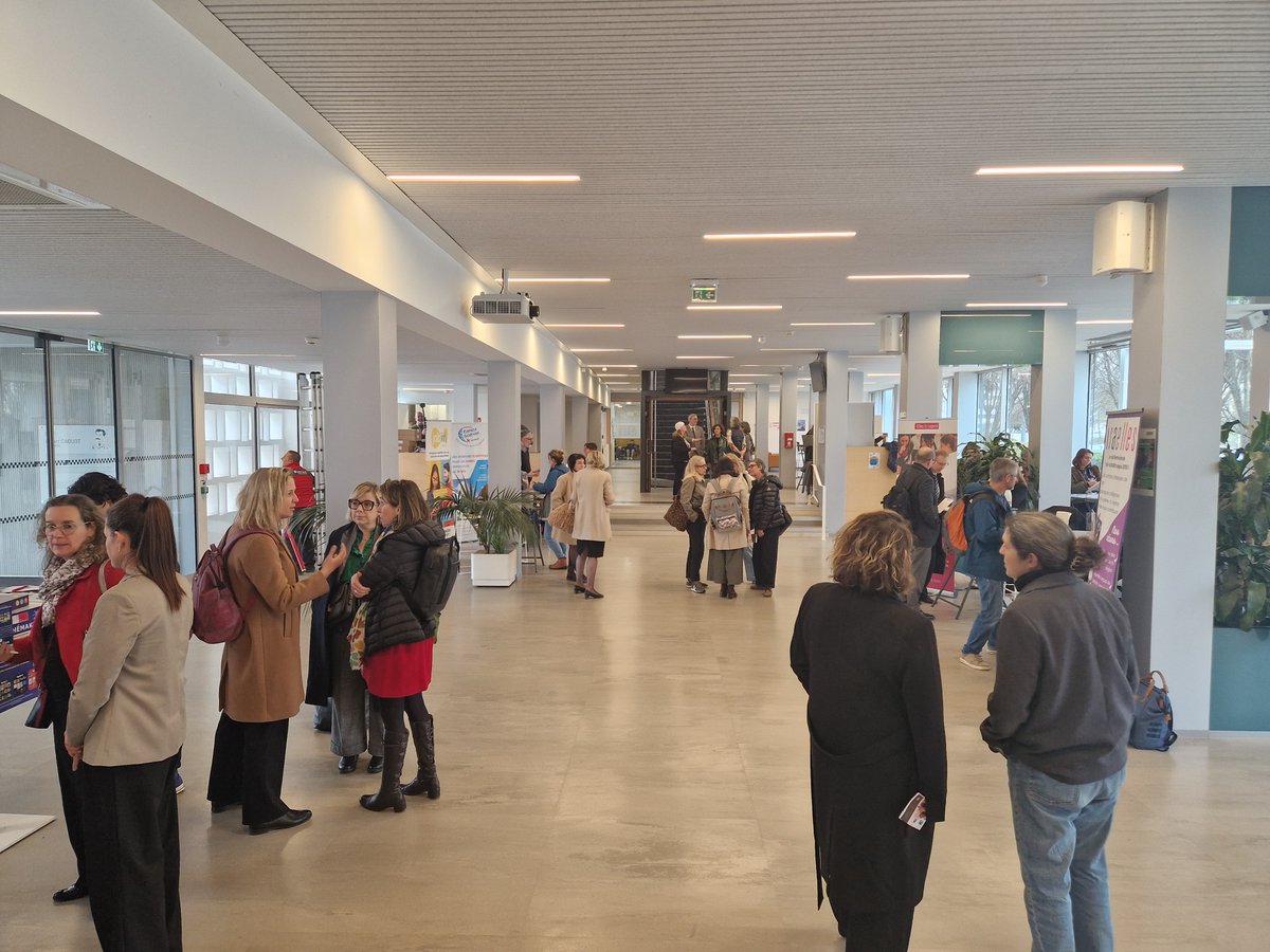 DSDEN 31 tweet media