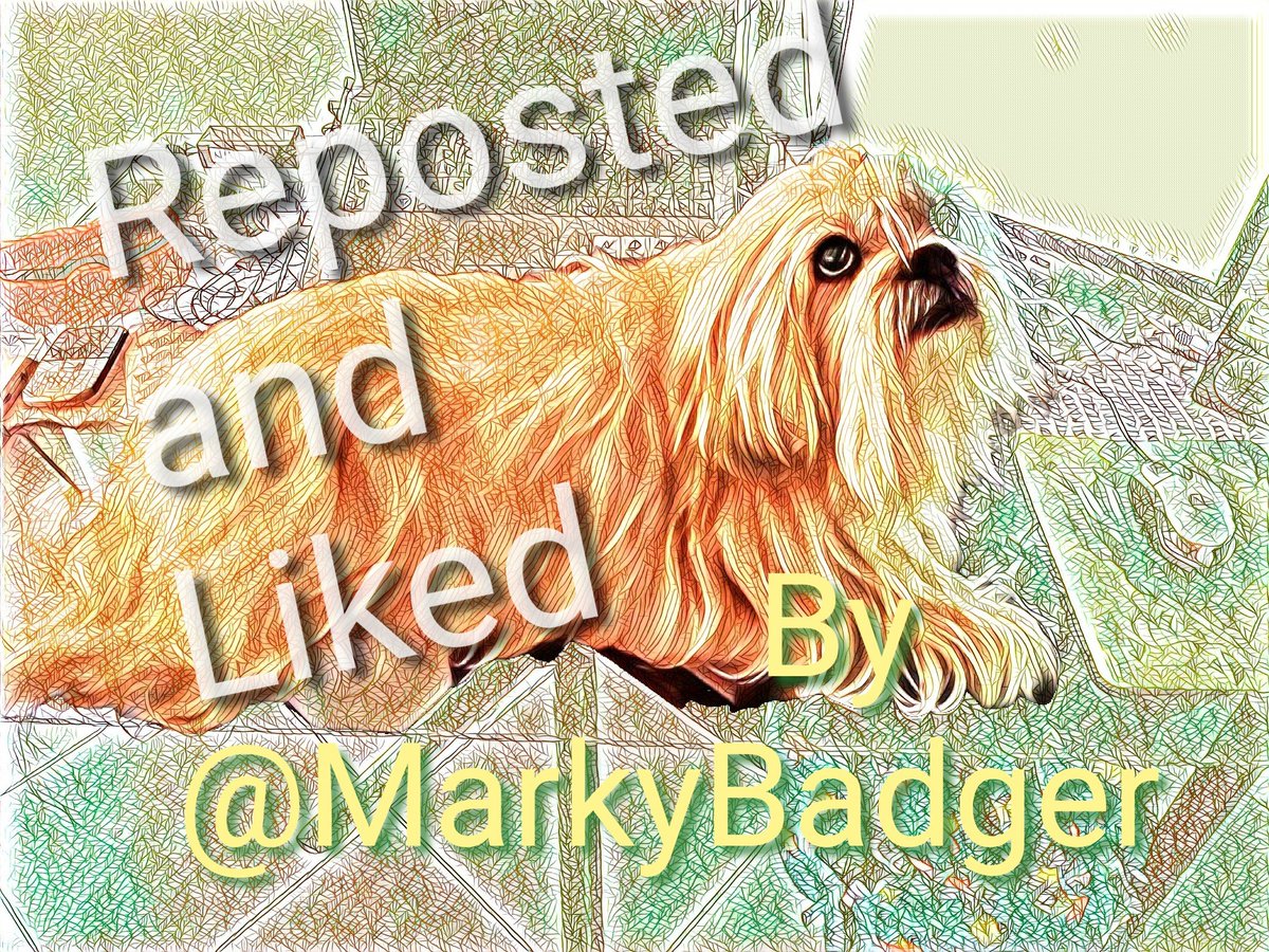 Marky B tweet media