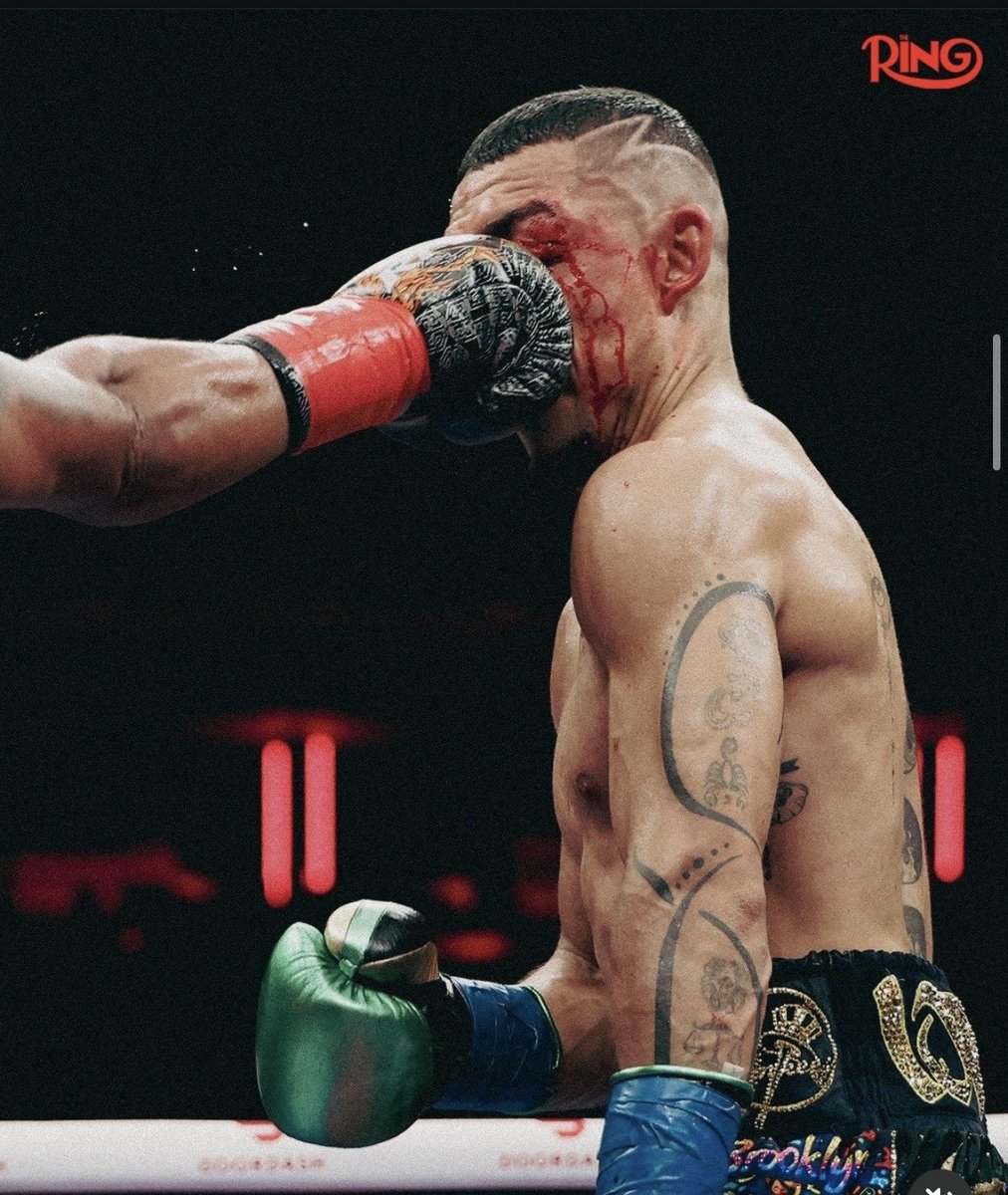 MatureBoxer tweet media