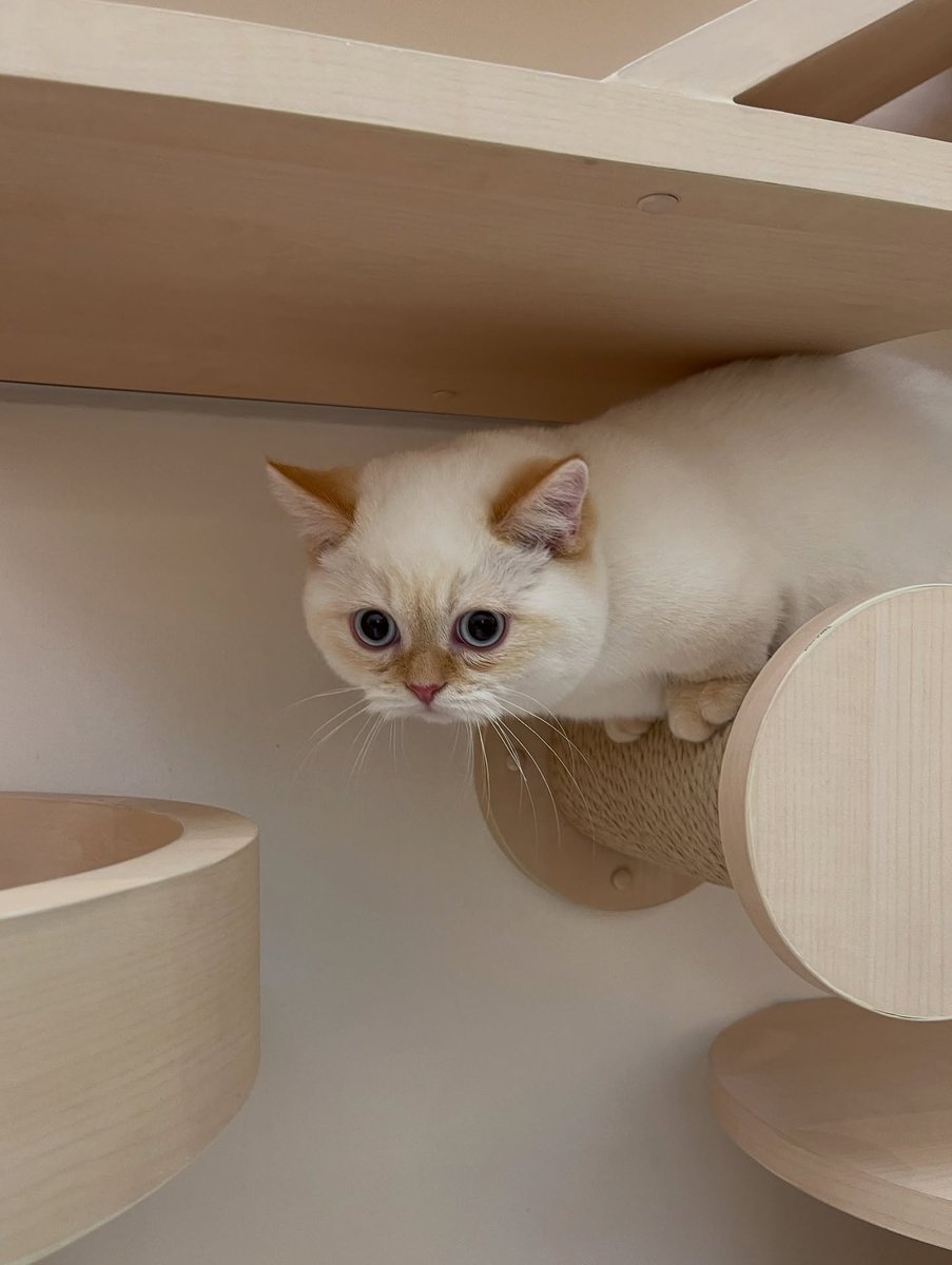 ltfgsixmar's tweet image. โมจิของน้าทททท 
IG : arm_wc 

#nnutdan