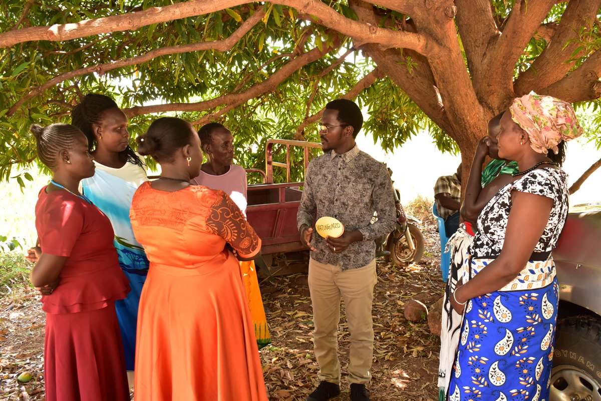 Rural Women Peace Link tweet media