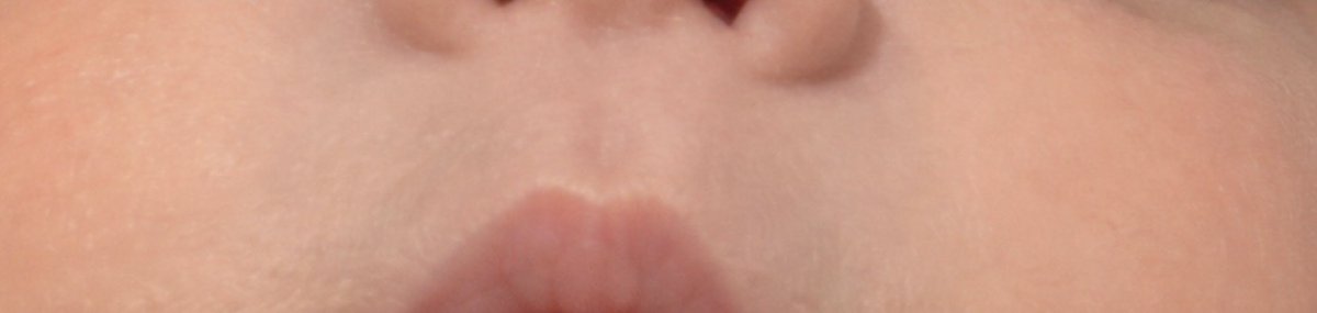 َََََ tweet media